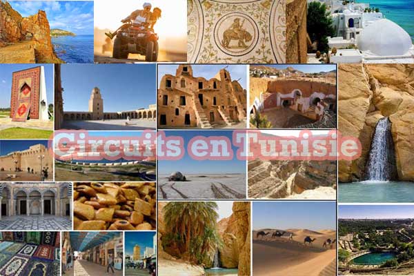 Circuits en Tunisie avec live rent a car